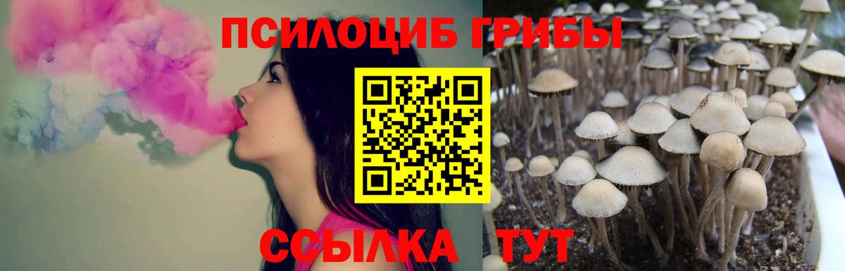 Феодосия  Псилоцибиновые грибы Psilocybine cubensis  Вход с VPN 